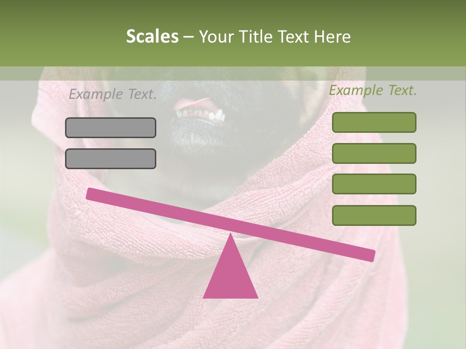 Studio Indoor Dog PowerPoint Template