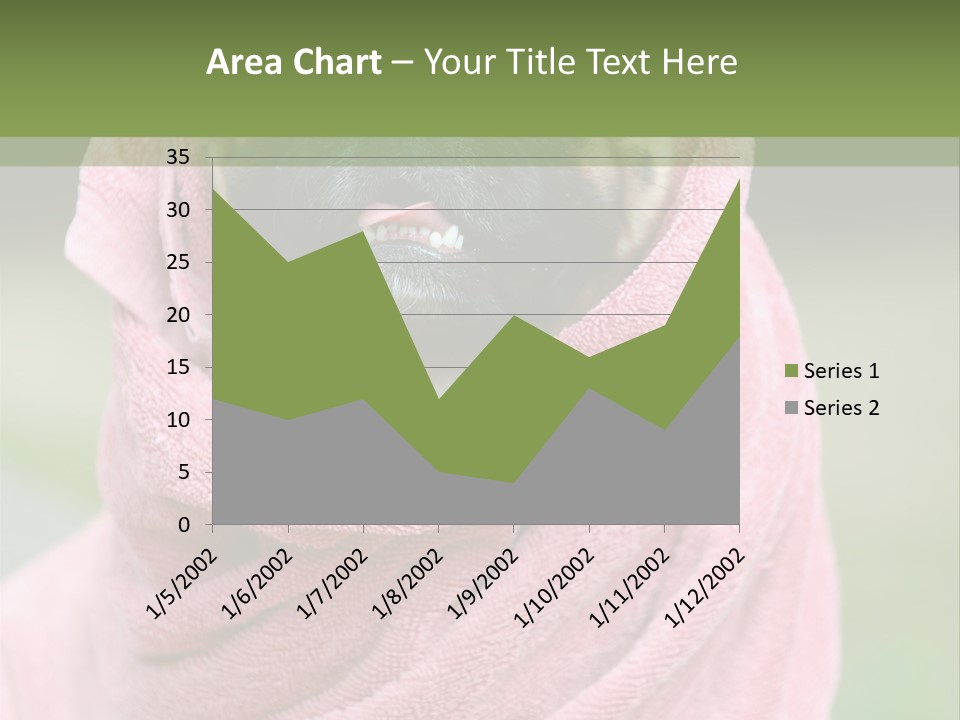 Studio Indoor Dog PowerPoint Template