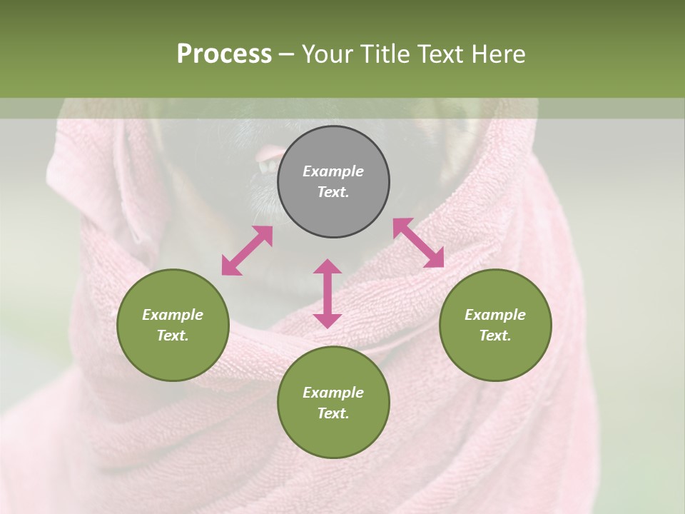 Studio Indoor Dog PowerPoint Template