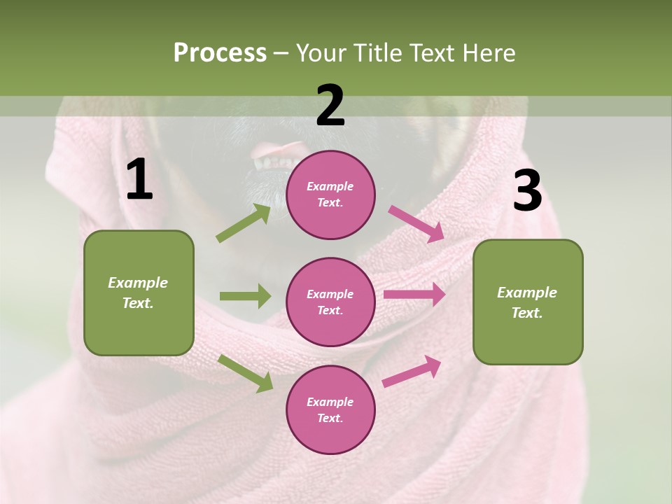 Studio Indoor Dog PowerPoint Template