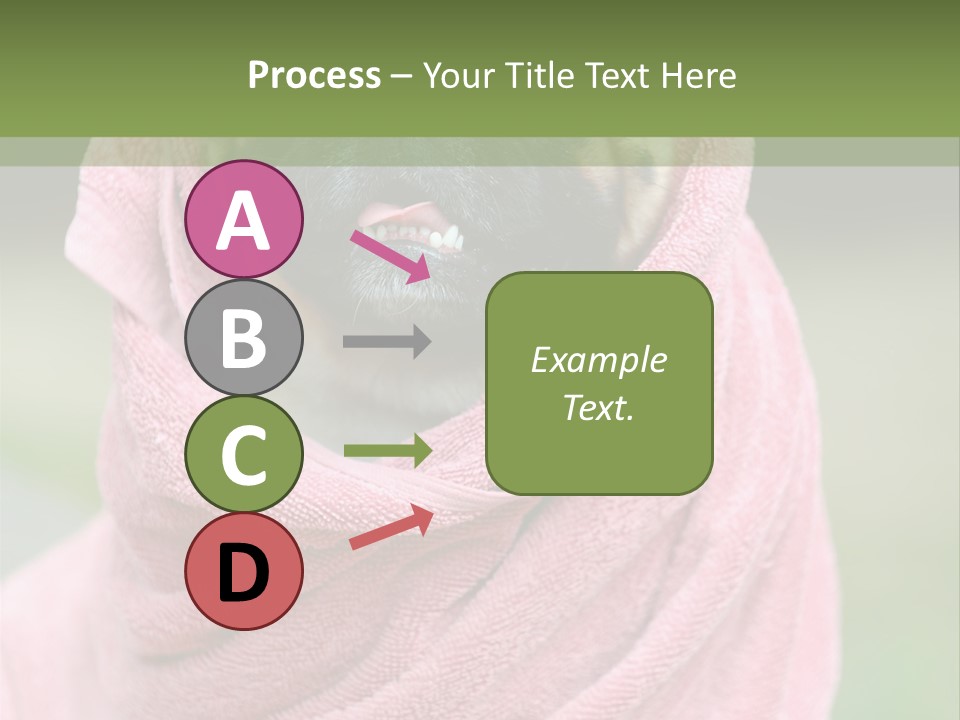 Studio Indoor Dog PowerPoint Template