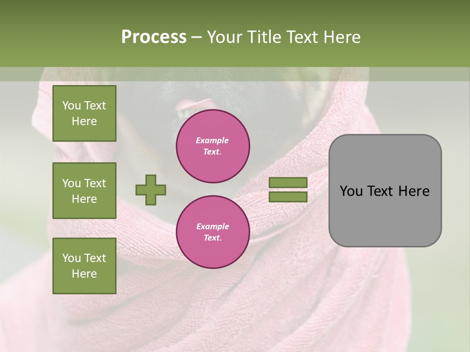 Studio Indoor Dog PowerPoint Template