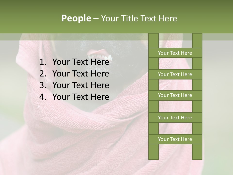 Studio Indoor Dog PowerPoint Template