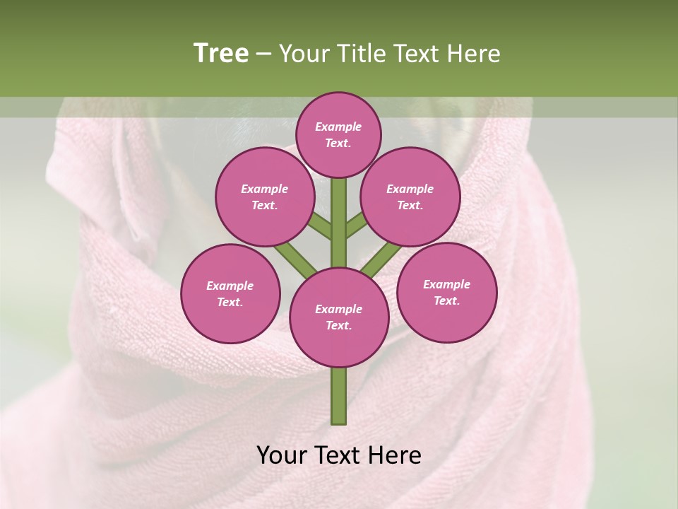 Studio Indoor Dog PowerPoint Template