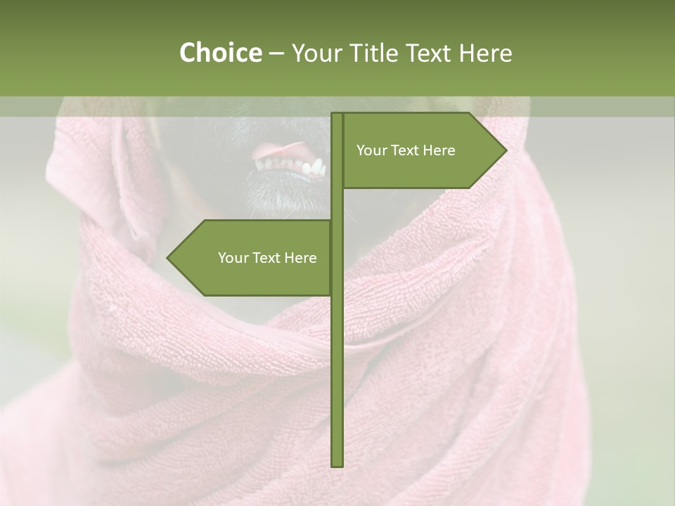 Studio Indoor Dog PowerPoint Template