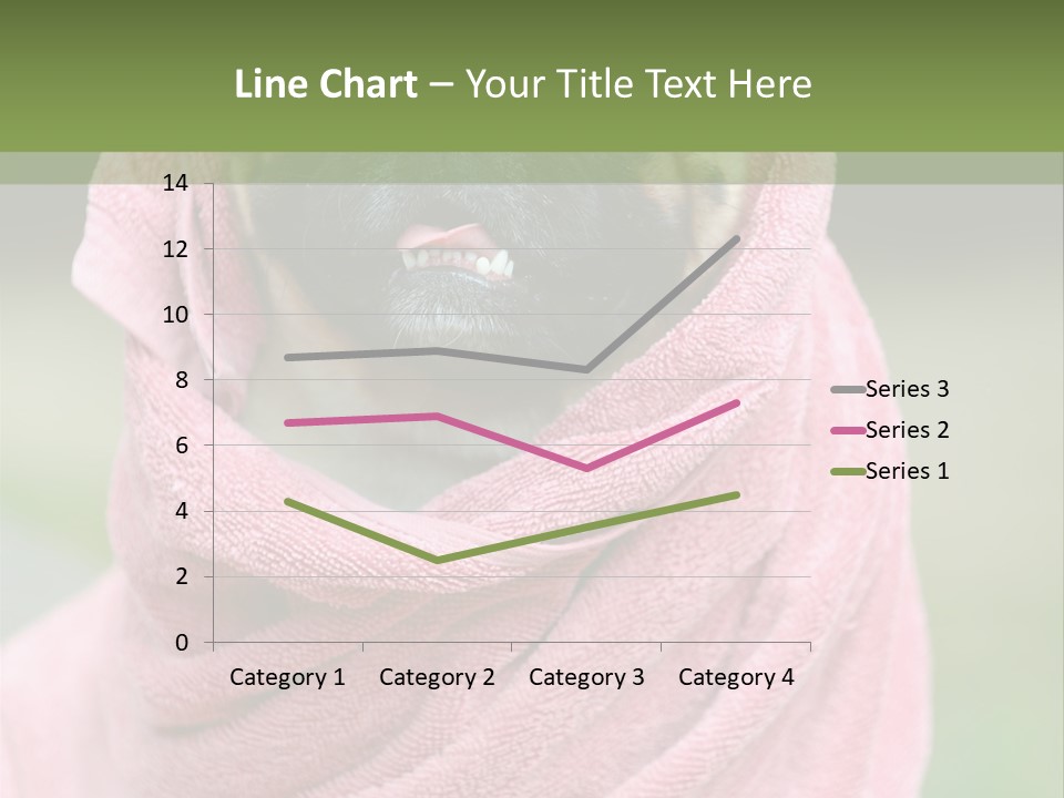 Studio Indoor Dog PowerPoint Template