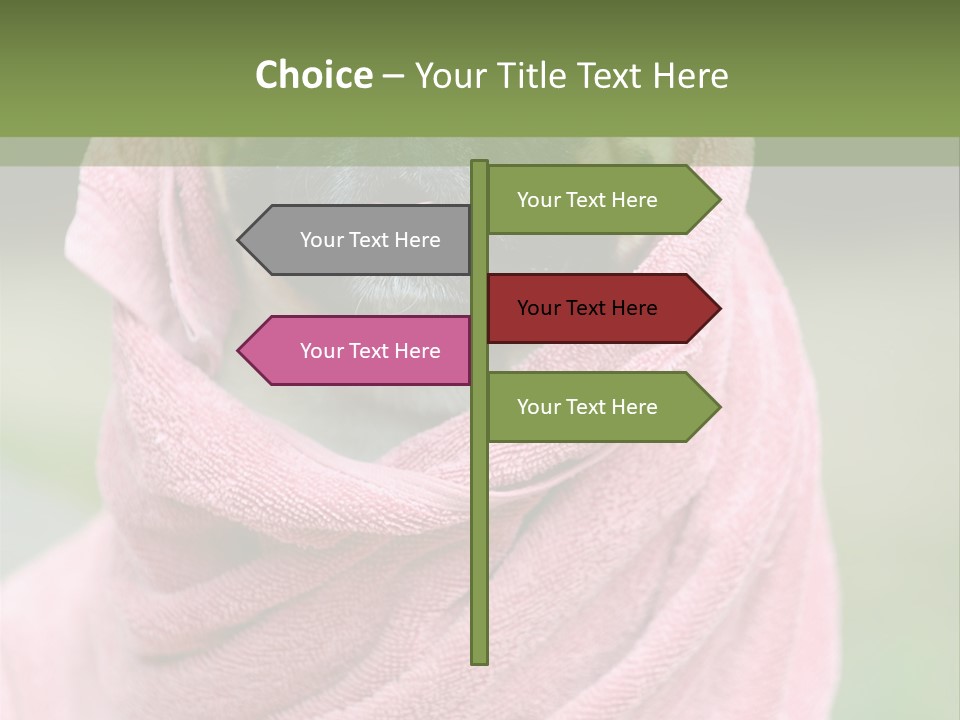 Studio Indoor Dog PowerPoint Template