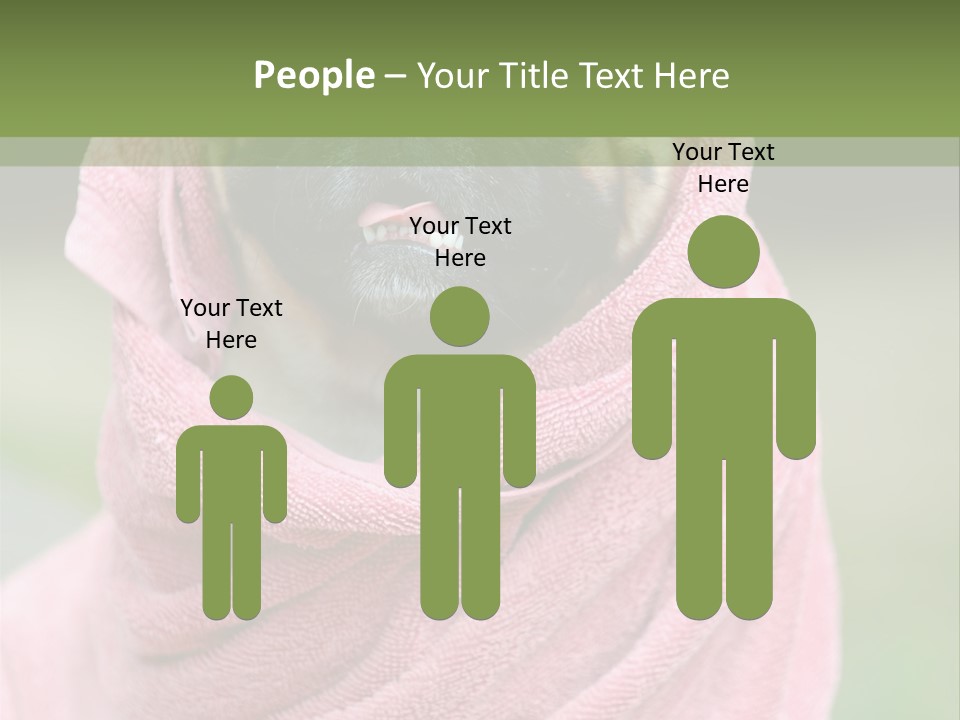 Studio Indoor Dog PowerPoint Template