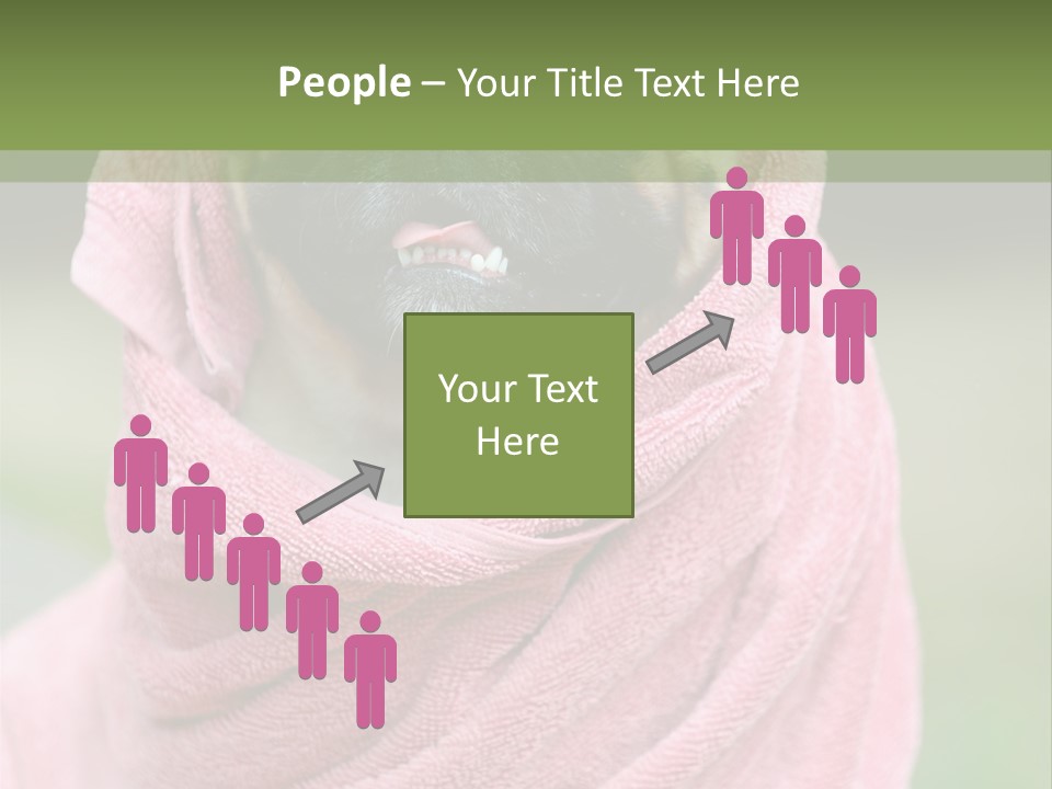 Studio Indoor Dog PowerPoint Template