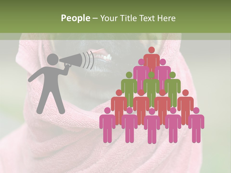 Studio Indoor Dog PowerPoint Template