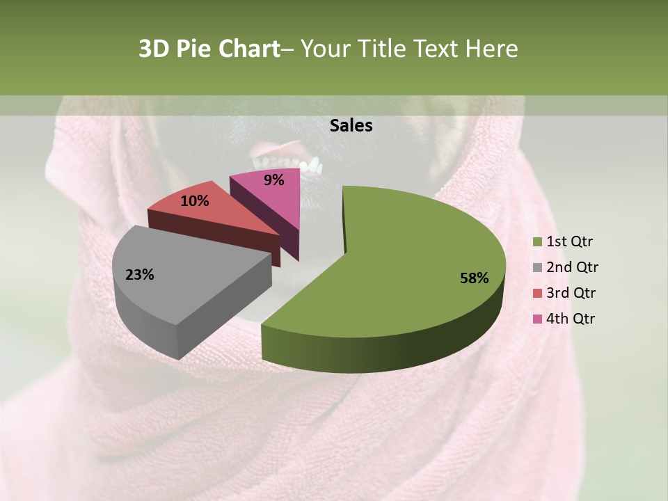 Studio Indoor Dog PowerPoint Template