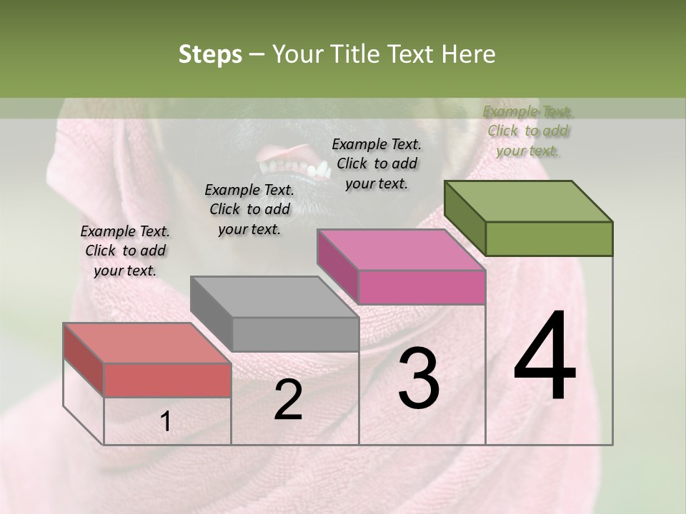 Studio Indoor Dog PowerPoint Template