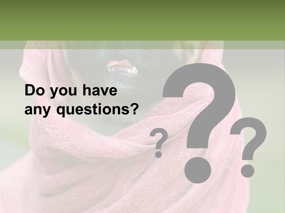 Studio Indoor Dog PowerPoint Template