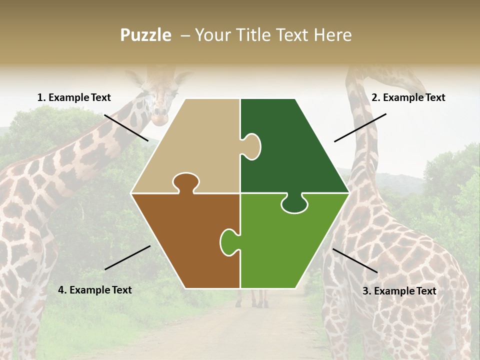 A Group Of Giraffes Walking Down A Dirt Road PowerPoint Template