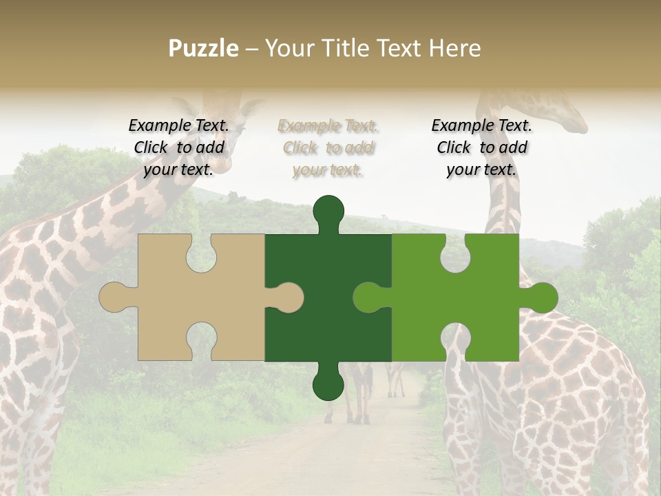 A Group Of Giraffes Walking Down A Dirt Road PowerPoint Template