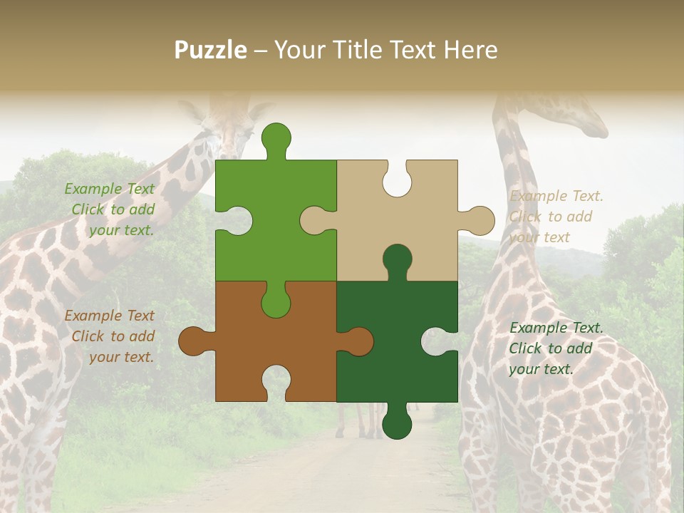 A Group Of Giraffes Walking Down A Dirt Road PowerPoint Template