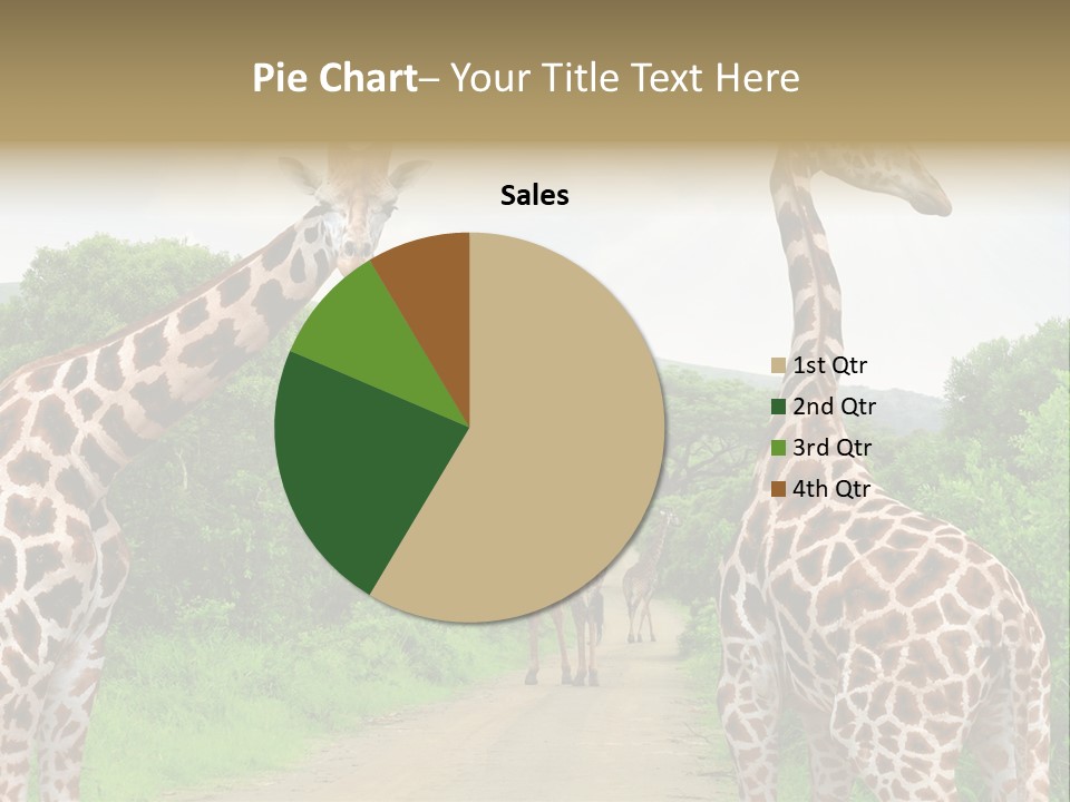 A Group Of Giraffes Walking Down A Dirt Road PowerPoint Template