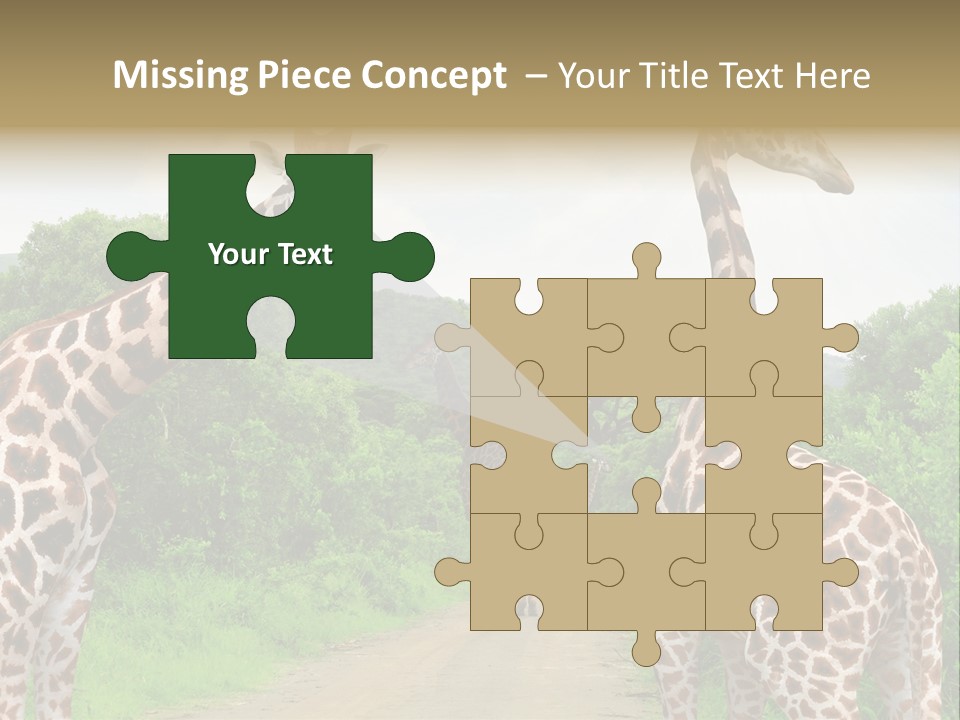 A Group Of Giraffes Walking Down A Dirt Road PowerPoint Template