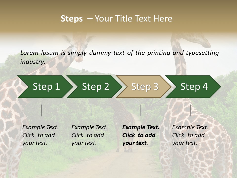 A Group Of Giraffes Walking Down A Dirt Road PowerPoint Template