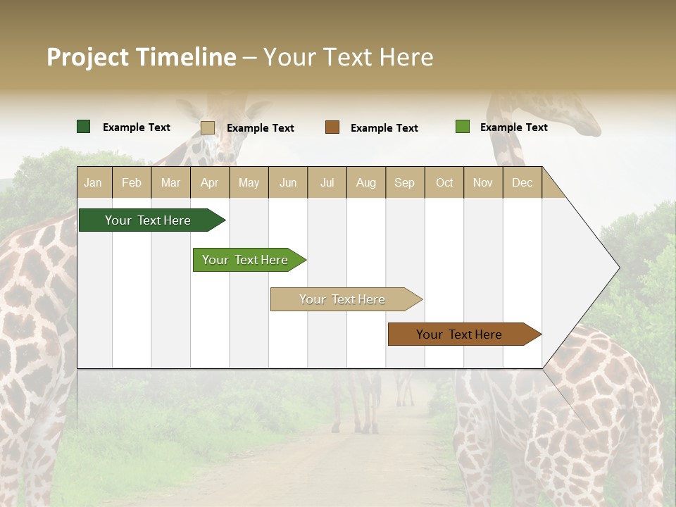 A Group Of Giraffes Walking Down A Dirt Road PowerPoint Template