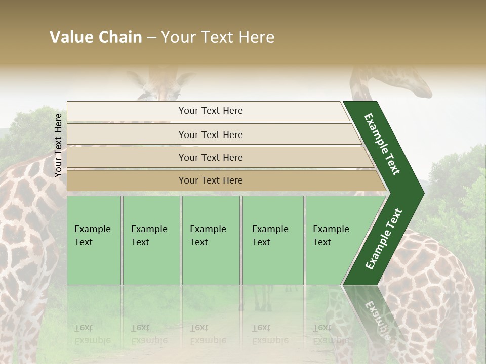 A Group Of Giraffes Walking Down A Dirt Road PowerPoint Template