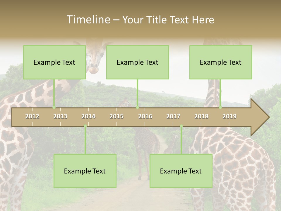 A Group Of Giraffes Walking Down A Dirt Road PowerPoint Template