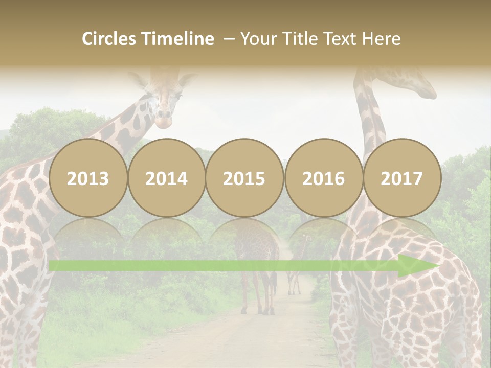 A Group Of Giraffes Walking Down A Dirt Road PowerPoint Template