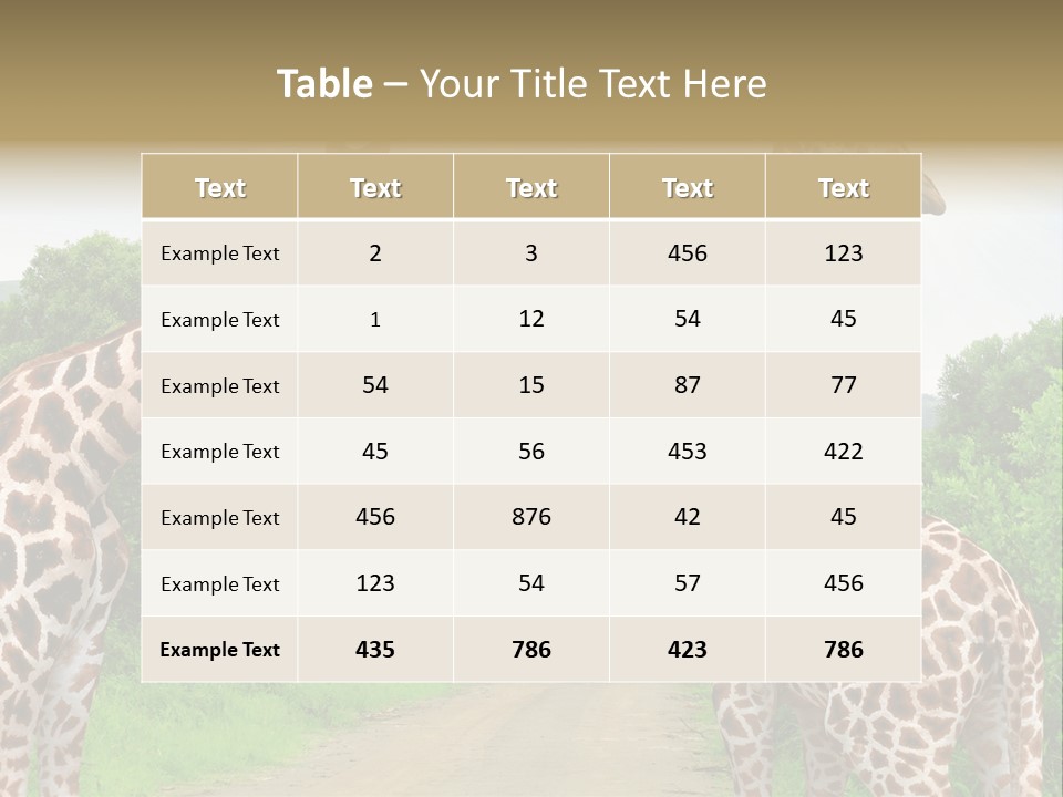 A Group Of Giraffes Walking Down A Dirt Road PowerPoint Template