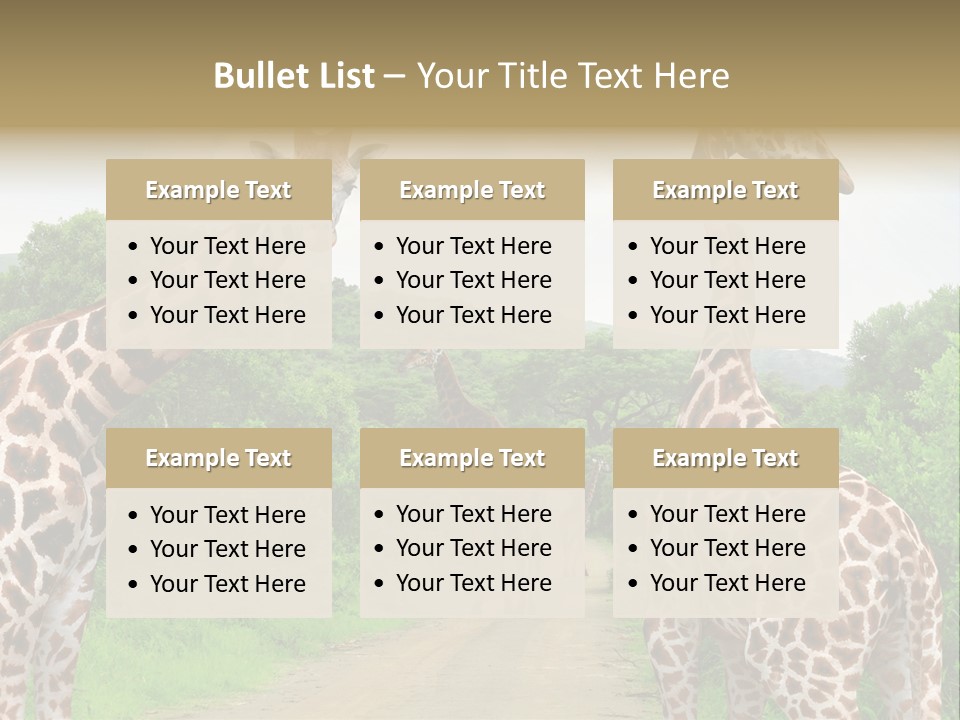 A Group Of Giraffes Walking Down A Dirt Road PowerPoint Template