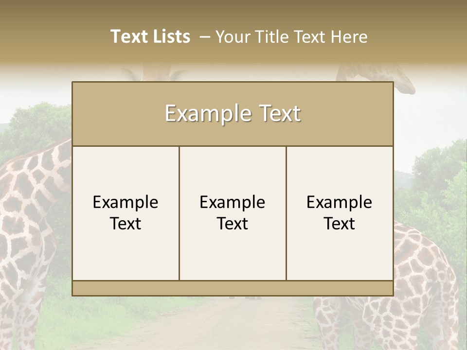 A Group Of Giraffes Walking Down A Dirt Road PowerPoint Template
