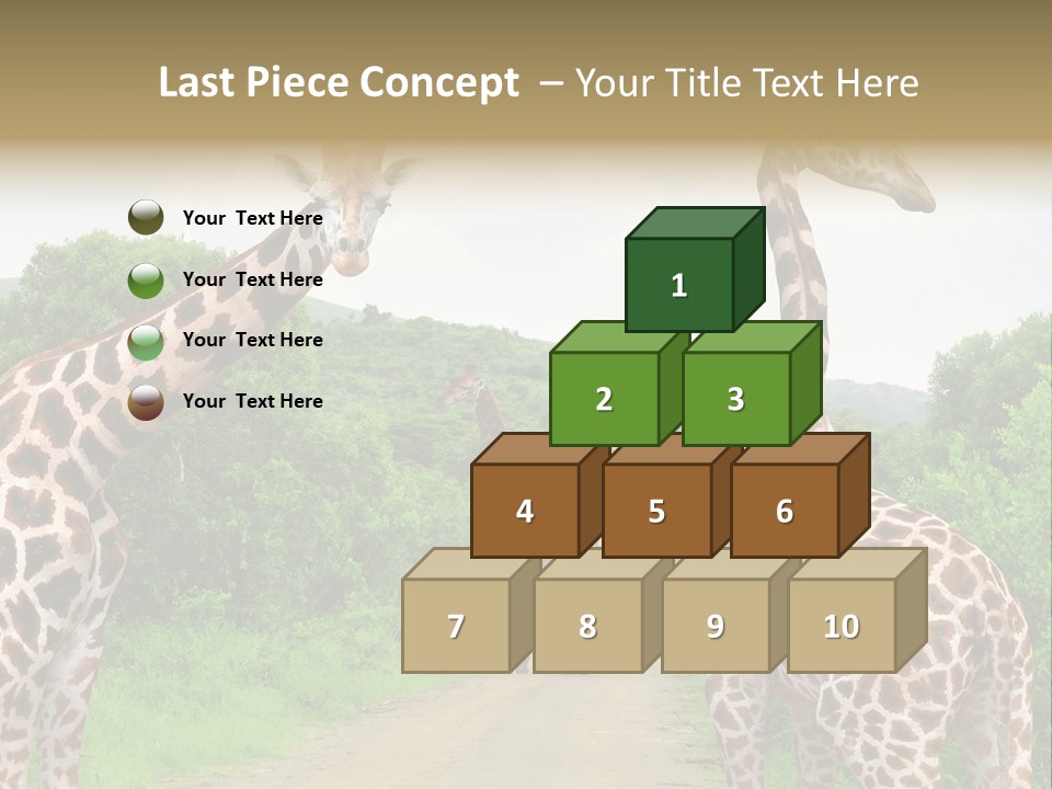 A Group Of Giraffes Walking Down A Dirt Road PowerPoint Template