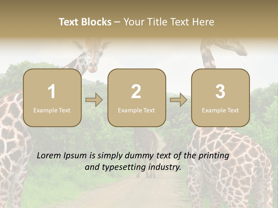 A Group Of Giraffes Walking Down A Dirt Road PowerPoint Template