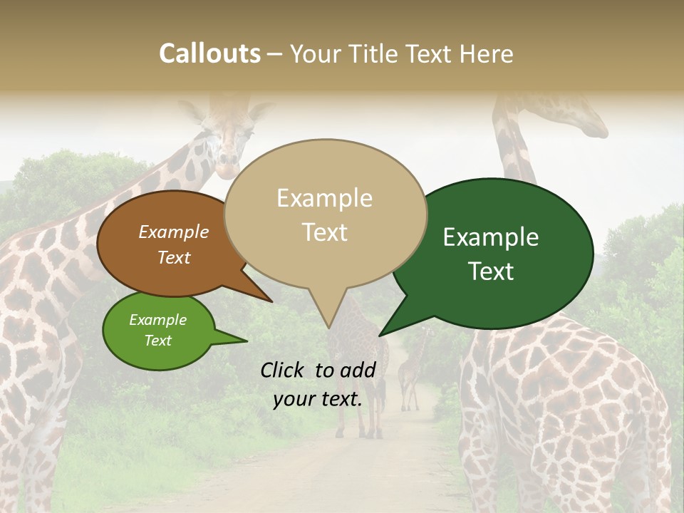 A Group Of Giraffes Walking Down A Dirt Road PowerPoint Template