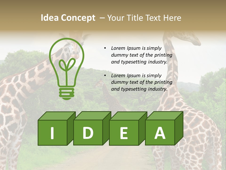 A Group Of Giraffes Walking Down A Dirt Road PowerPoint Template