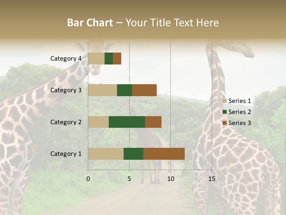 A Group Of Giraffes Walking Down A Dirt Road PowerPoint Template