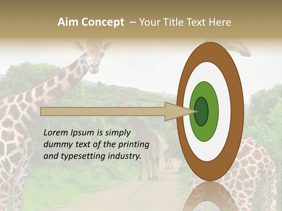 A Group Of Giraffes Walking Down A Dirt Road PowerPoint Template