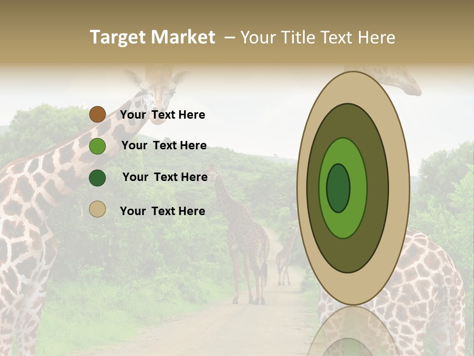 A Group Of Giraffes Walking Down A Dirt Road PowerPoint Template