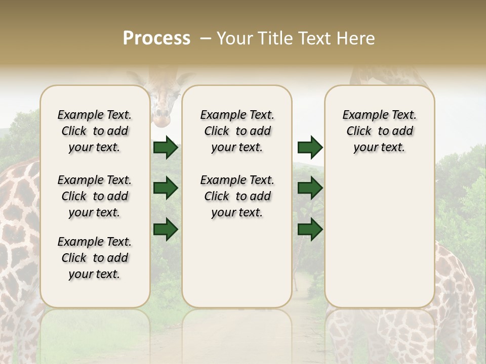 A Group Of Giraffes Walking Down A Dirt Road PowerPoint Template