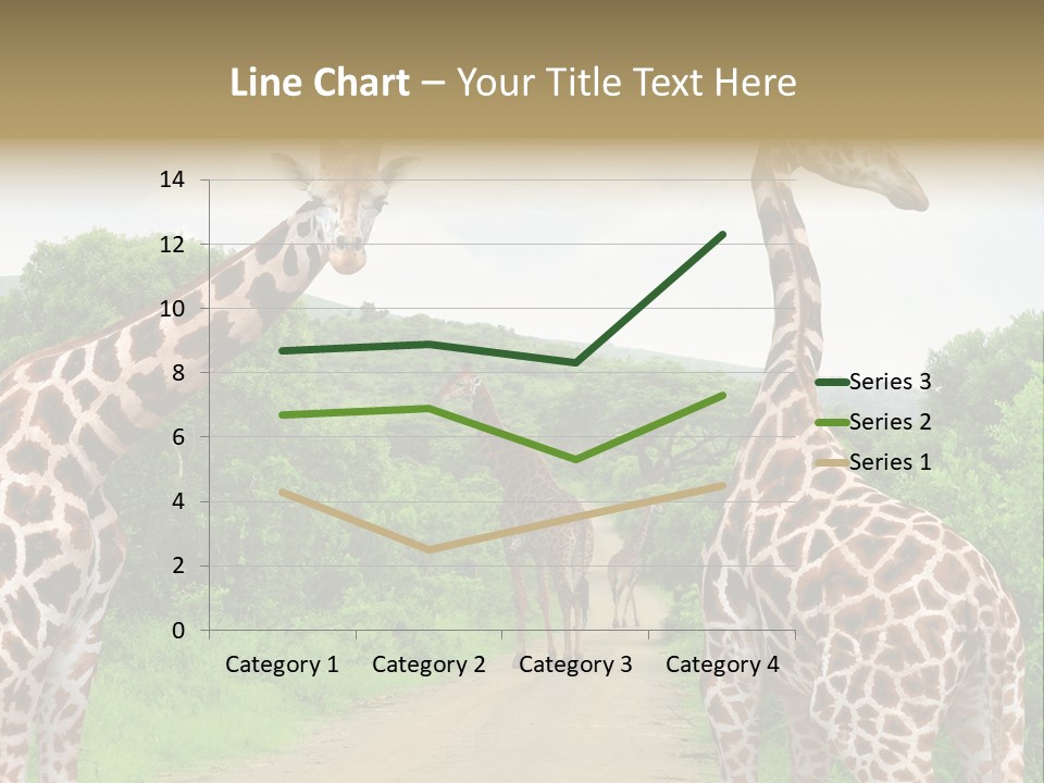 A Group Of Giraffes Walking Down A Dirt Road PowerPoint Template