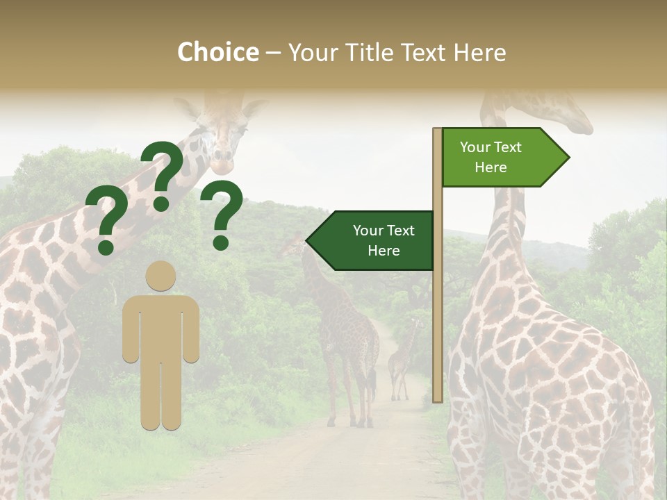 A Group Of Giraffes Walking Down A Dirt Road PowerPoint Template