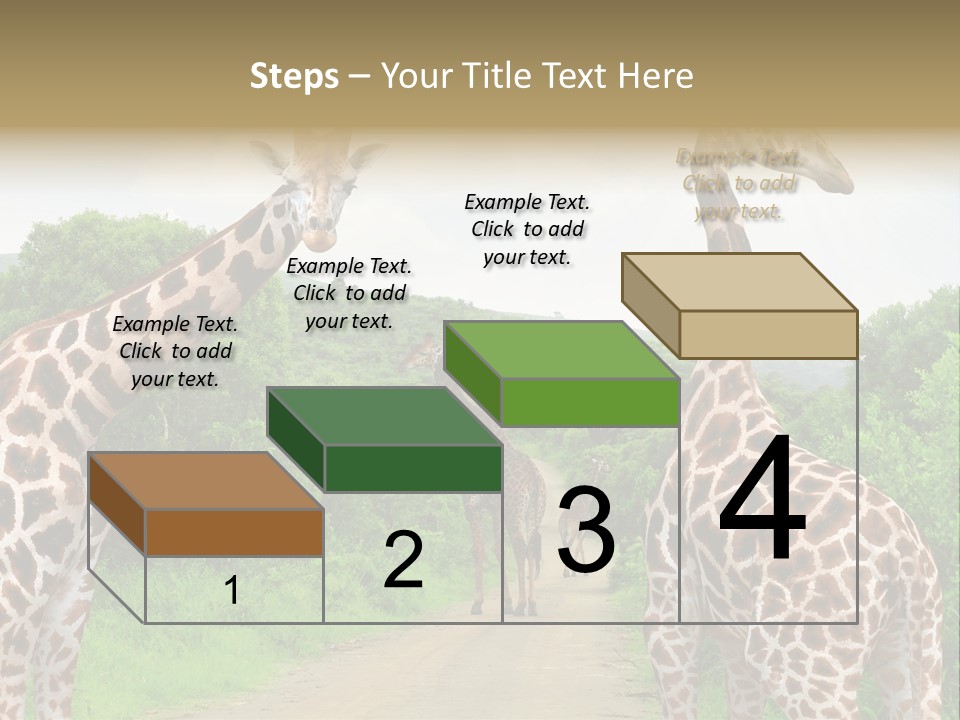A Group Of Giraffes Walking Down A Dirt Road PowerPoint Template