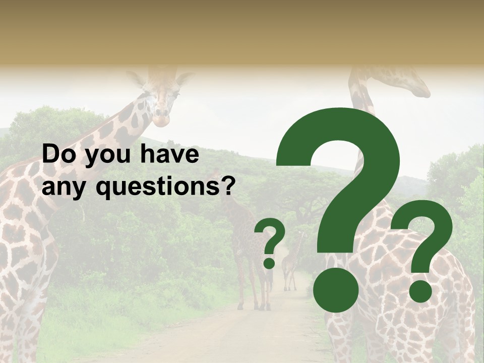 A Group Of Giraffes Walking Down A Dirt Road PowerPoint Template