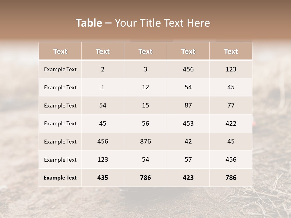 Footpath Woman Shoe PowerPoint Template