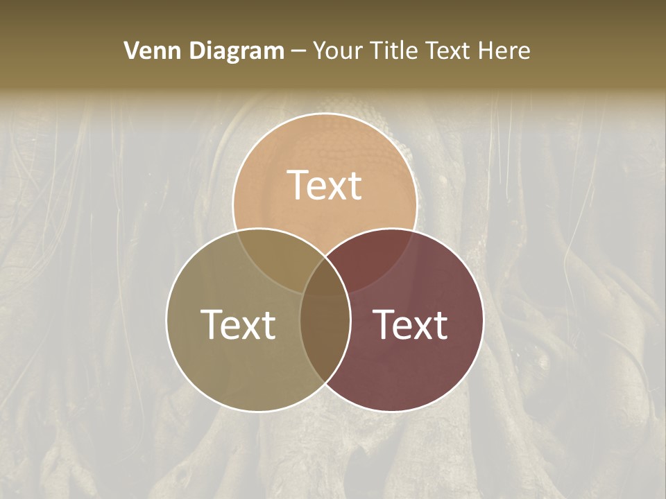 Meditation Temple Laos PowerPoint Template