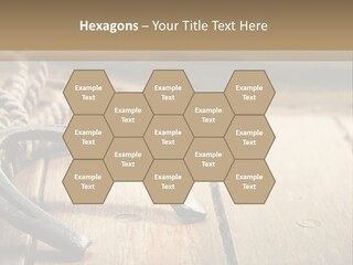 Rich West Shine PowerPoint Template