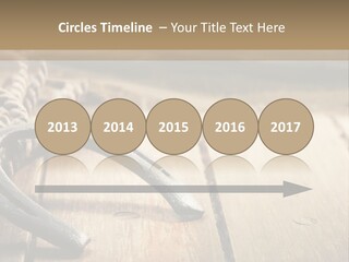 Rich West Shine PowerPoint Template