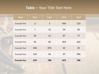Rich West Shine PowerPoint Template