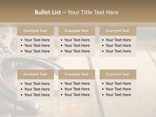 Rich West Shine PowerPoint Template