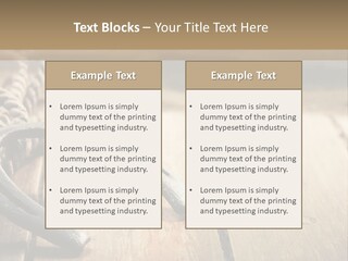 Rich West Shine PowerPoint Template