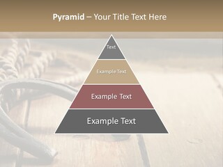 Rich West Shine PowerPoint Template